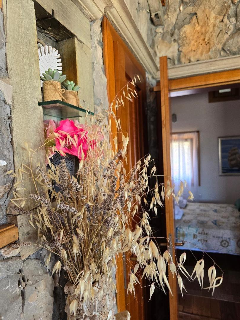 Villa, Stone House With Swimming Pool & Sauna, Beach, Sevid Exterior foto